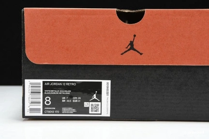Hyperoad “ROYALTY” AIR JORDAN 12 0925